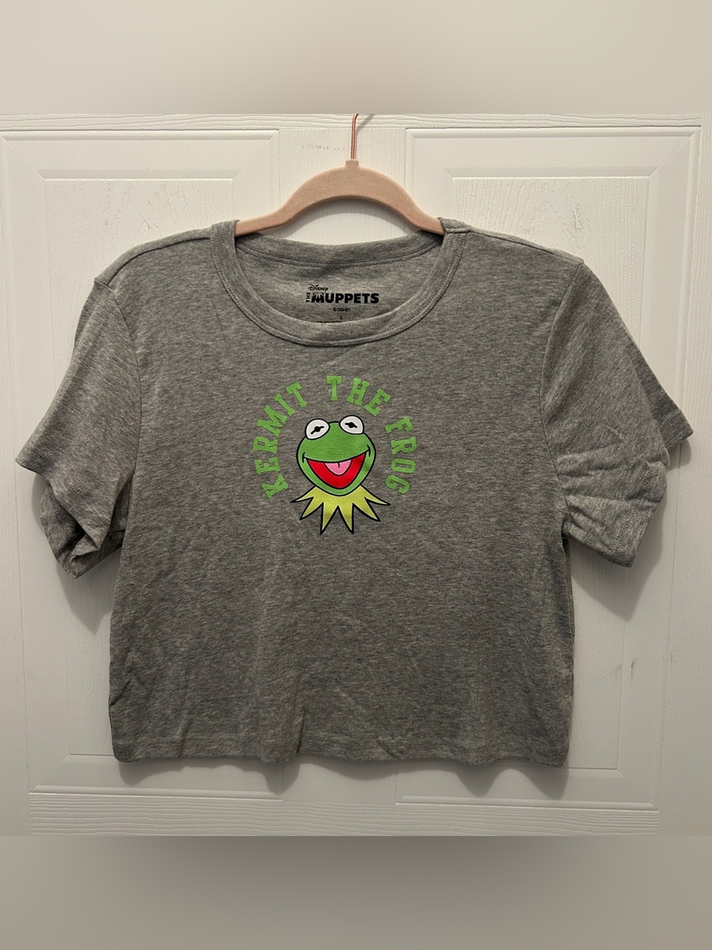 Gray Kermit the Frog Crop Top
